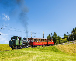 Parní zubačka Rigi